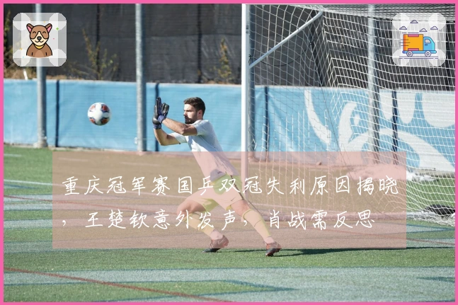 重庆冠军赛国乒双冠失利原因揭晓，王楚钦意外发声，肖战需反思