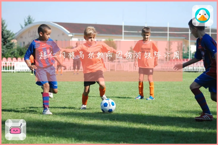 拜仁门将乌尔赖希因伤将缺阵六周